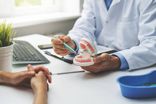Professional Dental Services in Lazy Mountain, AK
